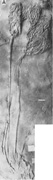 TFP302, f1a.jpg