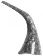 pl21, f102.jpg