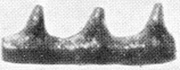 pl21, f121.jpg