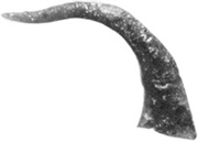pl21, f110.jpg