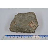 BIRUG 6104.1.jpg